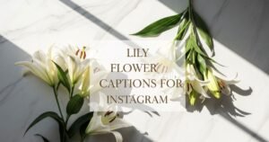Lily Flower Captions for Instagram