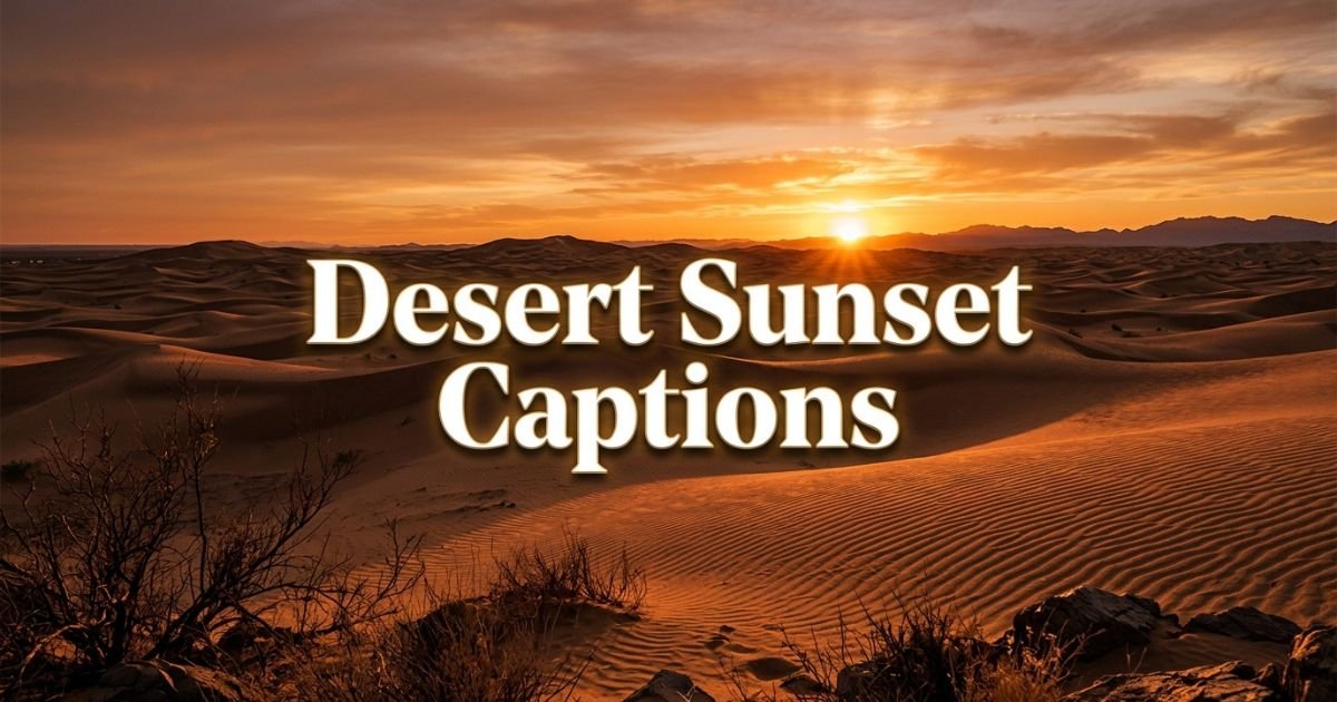 Desert Sunset Captions