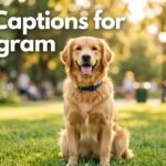 Dog Captions for Instagram