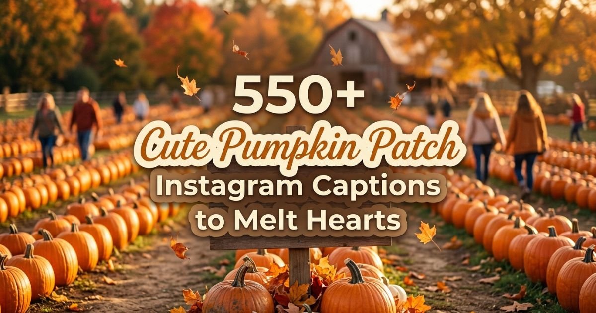 550+ Cute Pumpkin Patch Instagram Captions to Melt Hearts